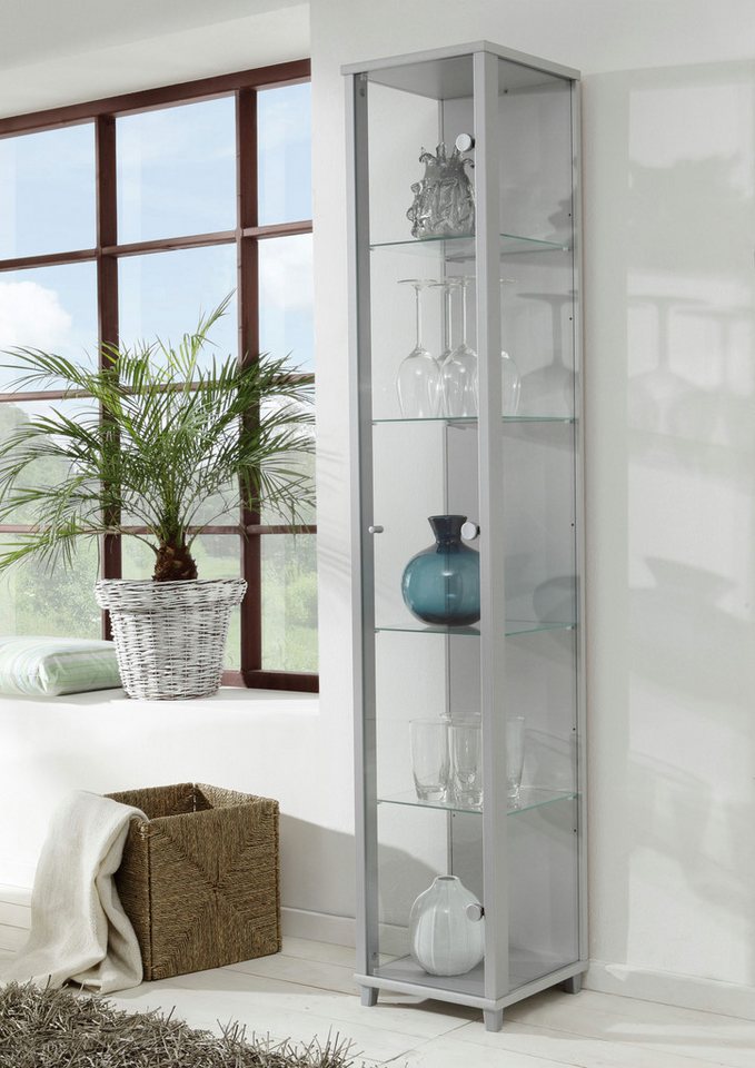 fif möbel Vitrine OPTIMA Höhe ca. 172 cm Standvitrine/Glasvitrine 1x Glastür,perfekt für Sammler,Sammlervitrine – Bild 2 von 5