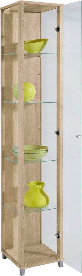 fif möbel Vitrine OPTIMA Höhe ca. 172 cm Standvitrine/Glasvitrine 1x Glastür,perfekt für Sammler,Sammlervitrine – Bild 2 von 5