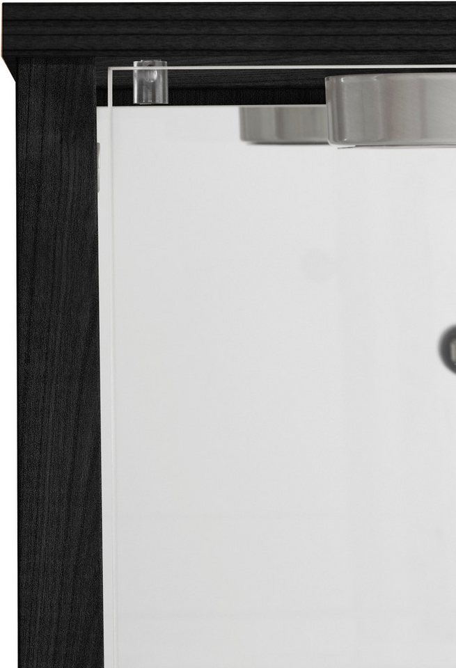 fif möbel Vitrine OPTIMA Standvitrine/Glasvitrine 1x Glastür,perfekt für Sammler,Sammlervitrine – Bild 5 von 5