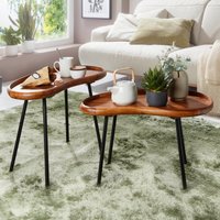 Finebuy Couchtisch Set FB52620 Sheesham Massiv Satztisch Nierenform mit Metallbeinen, Wohnzimmertische Massivholz, Kleine Nierentische Echtholz, Stubentische Ho