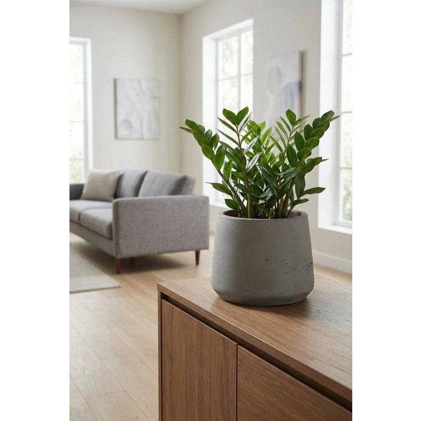 finestgreen Pflanzkübel Patt, Frostfest & UV-beständig – für Innen- und Außenbereich