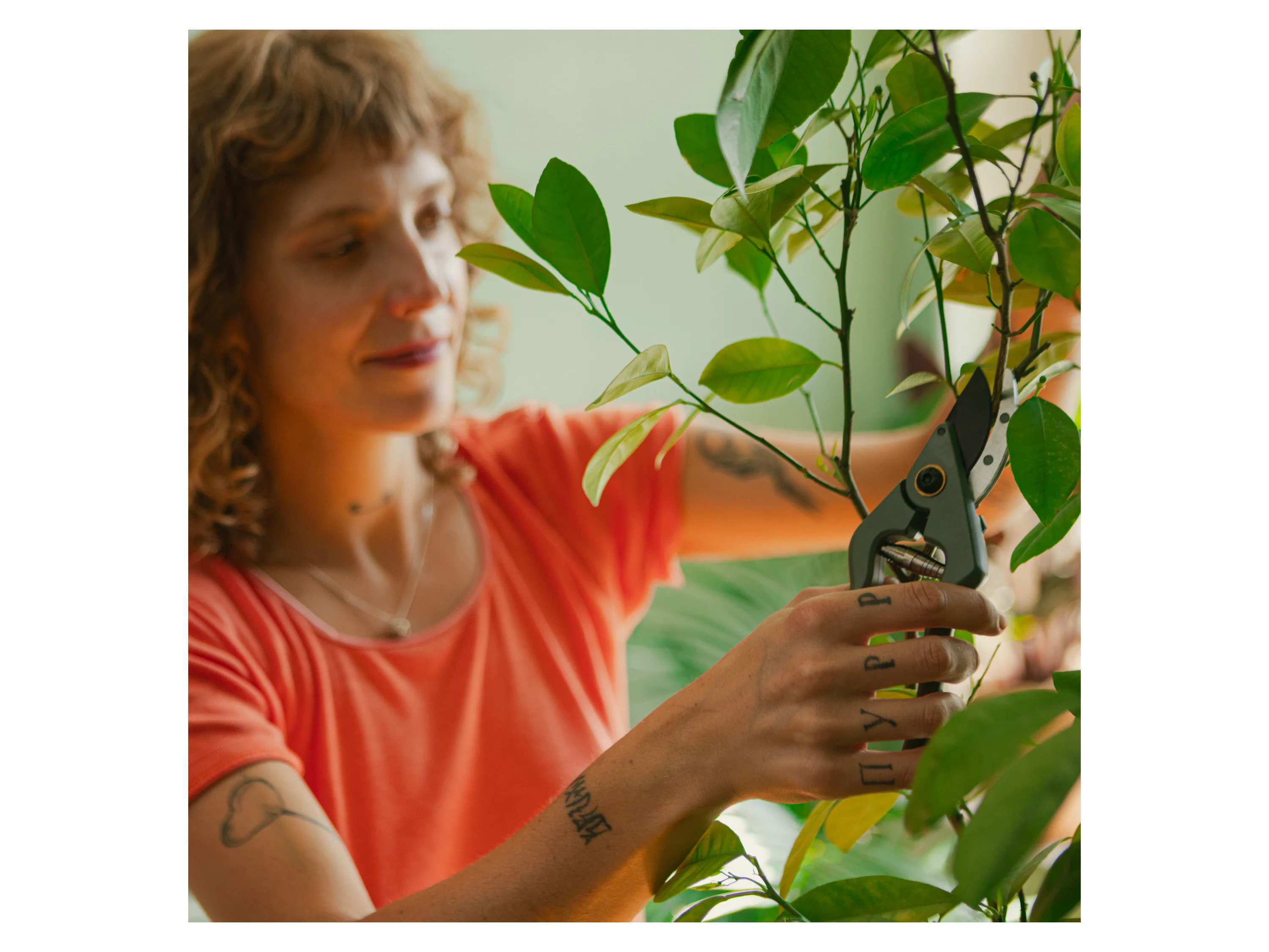 FISKARS Pflanzen- und Blumenschere mit Halter – Bild 2 von 4