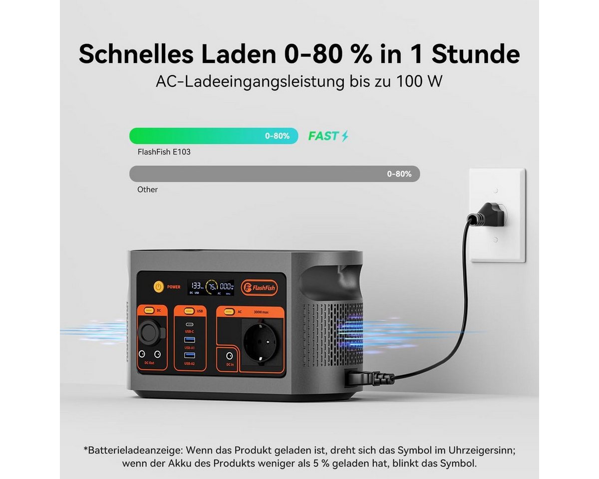Flashfish Stromerzeuger 300W Tragbares,179,2Wh LiFePO4 Akku, Schnellladung 0–80% in 1, 0,3 in kW, Multifunktions Solar Generator für Camping, Draußen, Reisen, N – Bild 5 von 5