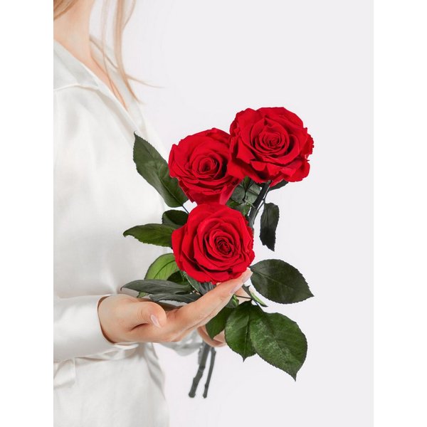 Fleurop Infinity-Rosen Infinity Rosen: Ewige Liebe