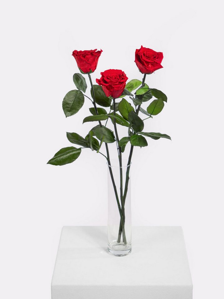 Fleurop Infinity-Rosen Infinity Rosen: Ewige Liebe – Bild 2 von 4