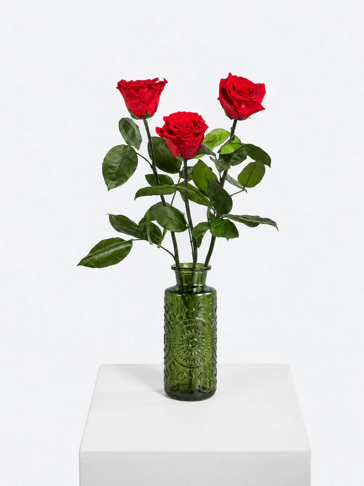 Fleurop Infinity-Rosen Infinity Rosen: Ewige Liebe – Bild 3 von 4