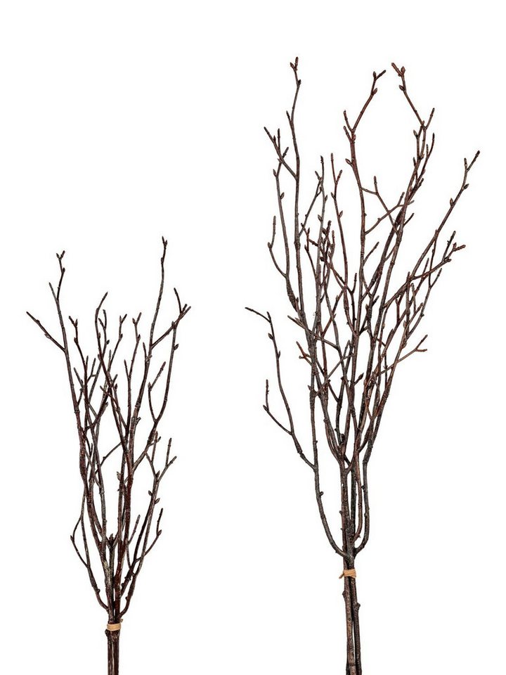 Kunstzweig Kunstblumen, formano, Höhe 74 cm, Höhe: 74cm, Farbe: Braun, Motiv: Zweige – Bild 2 von 2