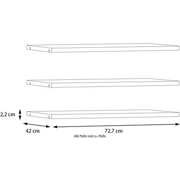 FORTE Einlegeboden, Einlegeböden 2,2 cm Stärke, optional bestellbar, 3er Set