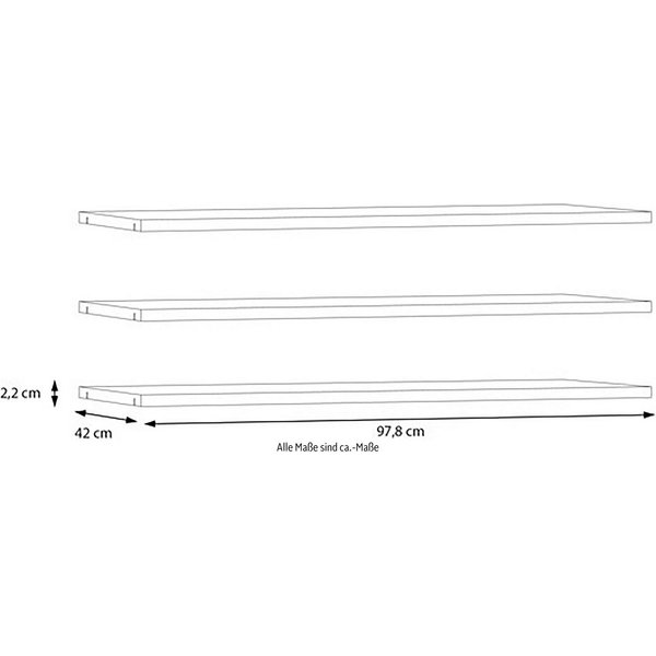 FORTE Einlegeboden, Einlegeböden 2,2 cm Stärke, optional bestellbar, 3er Set