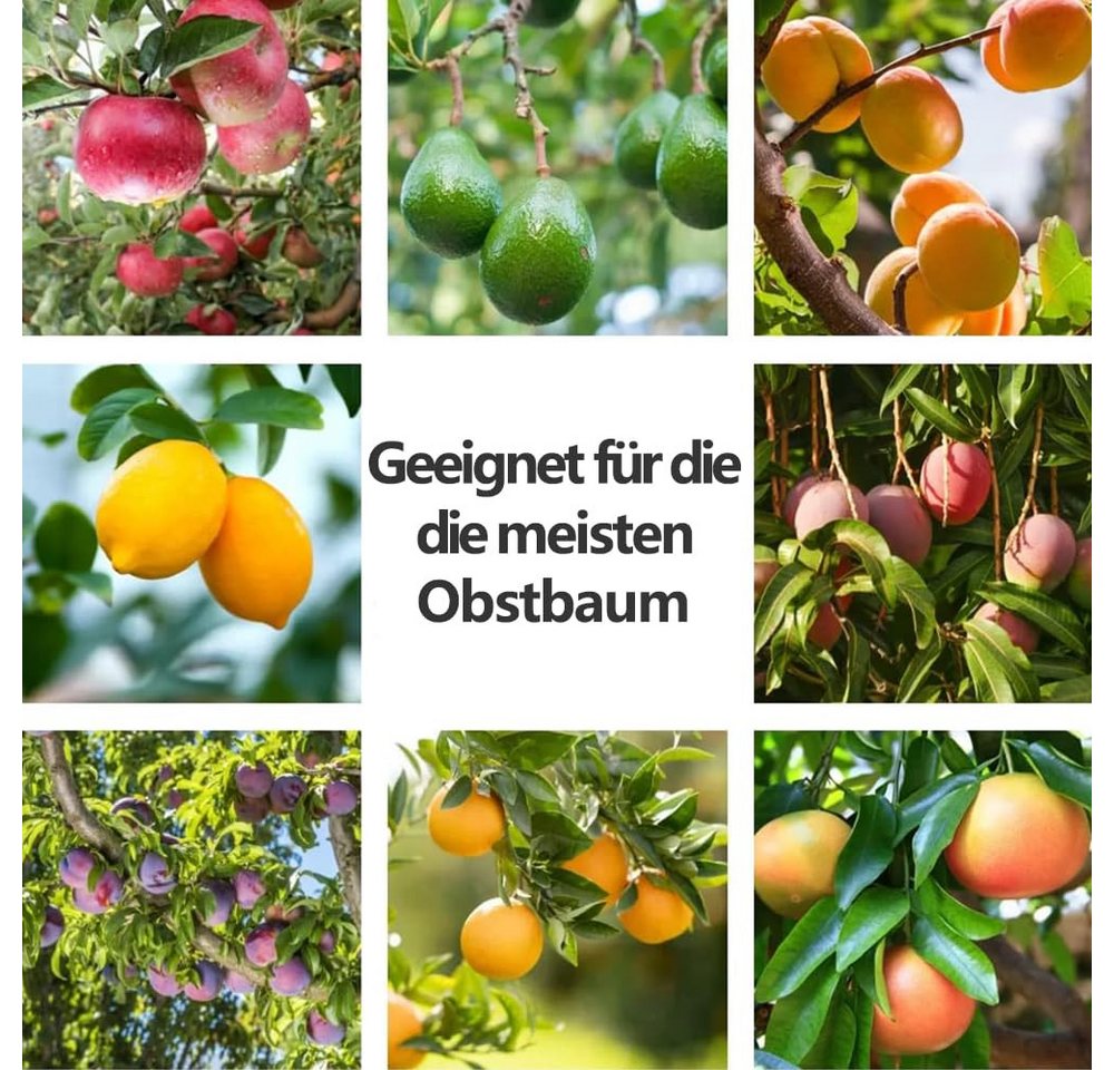 FOUORTUNATE-BEE Obstpflücker Obstpflücker 4 m mit Stoffbeutel Apfelpflücker für Obstbäume, Für Äpfel, Kirschen, Birnen, Pflaumen und Zitrusfrüchte – Bild 2 von 5