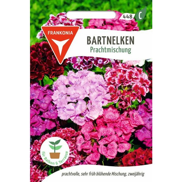 FRANKONIA Blumensamen Bartnelken, Prachtmischung - Nelken-Samen Saatgut Samen, Dianthus barbatus