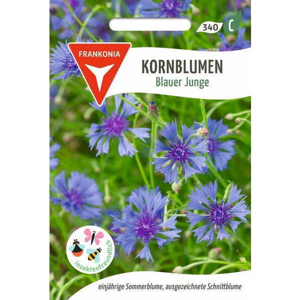 FRANKONIA Blumensamen Kornblume, Blauer Junge - Saatgut Samen, centaurea cyamis