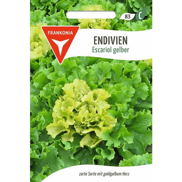 FRANKONIA Gemüsesamen Endivie, Escariol gelber - Saatgut Samen, Cichorium endivia