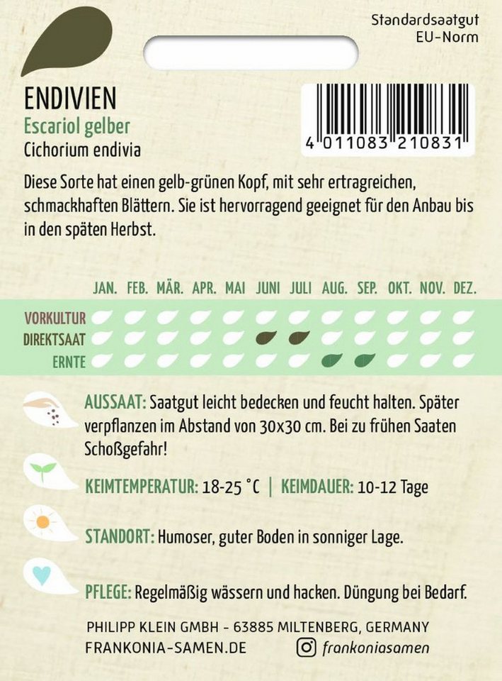 FRANKONIA Gemüsesamen Endivie, Escariol gelber - Saatgut Samen, Cichorium endivia – Bild 2 von 2