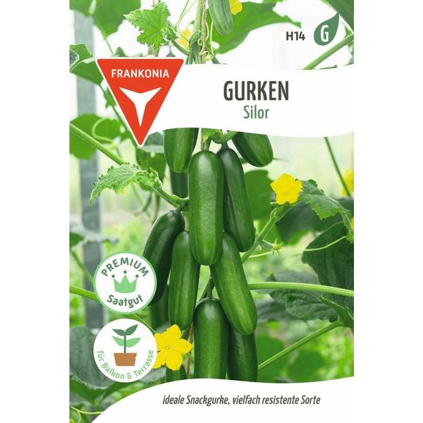 FRANKONIA Gemüsesamen Gurke, Silor F1 - Gurken-Samen Saatgut Samen, Cucumis sativus
