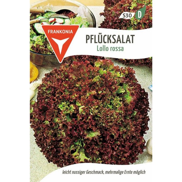 FRANKONIA Gemüsesamen Pflücksalat, Lollo Rossa - Saatgut Salat-Samen Samen, Lactuca sativa