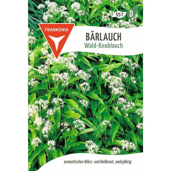 FRANKONIA Kräutersamen Bärlauch, Wald-Knoblauch - Kräuter-Samen Gewürz Saatgut Samen, Aium fistuosum