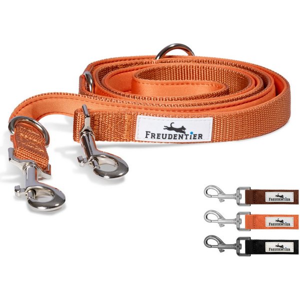 Freudentier Hundeleine 2m, verstellbar & gepolstert, Führleine aus Nylon, für mittelgroße & große Hunde