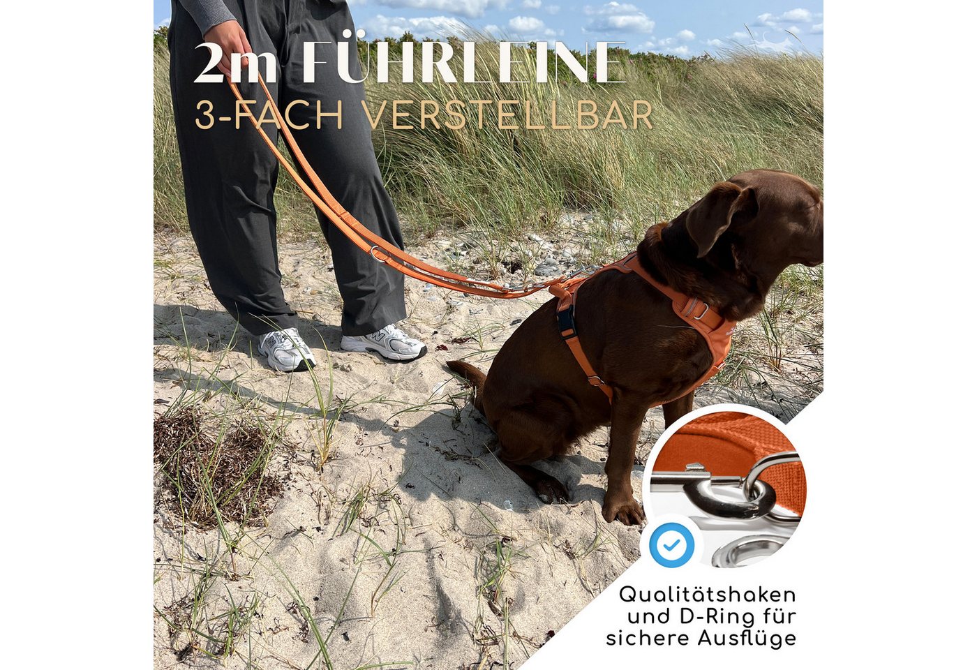 Freudentier Hundeleine 2m, verstellbar & gepolstert, Führleine aus Nylon, für mittelgroße & große Hunde – Bild 2 von 5