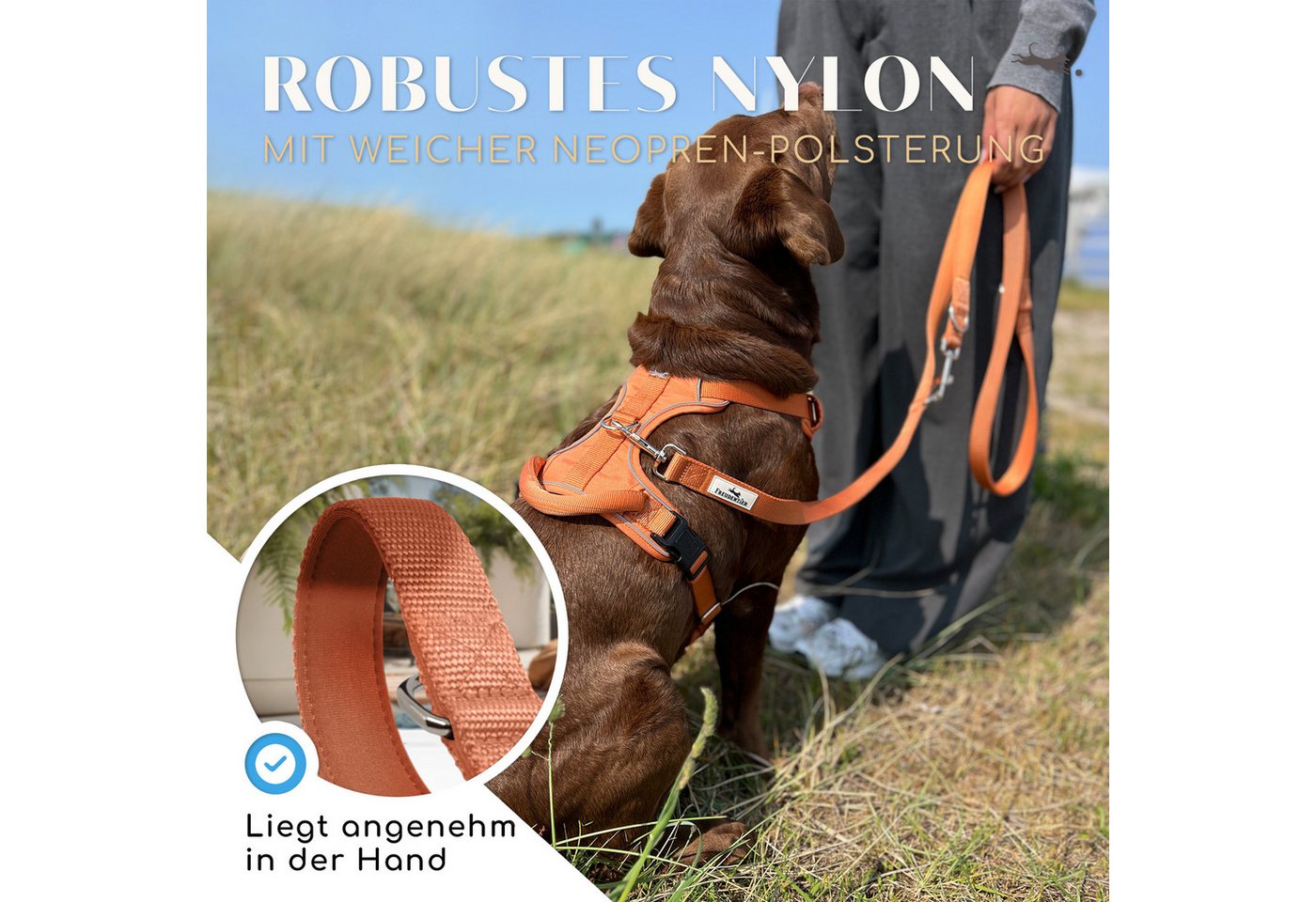 Freudentier Hundeleine 2m, verstellbar & gepolstert, Führleine aus Nylon, für mittelgroße & große Hunde – Bild 3 von 5