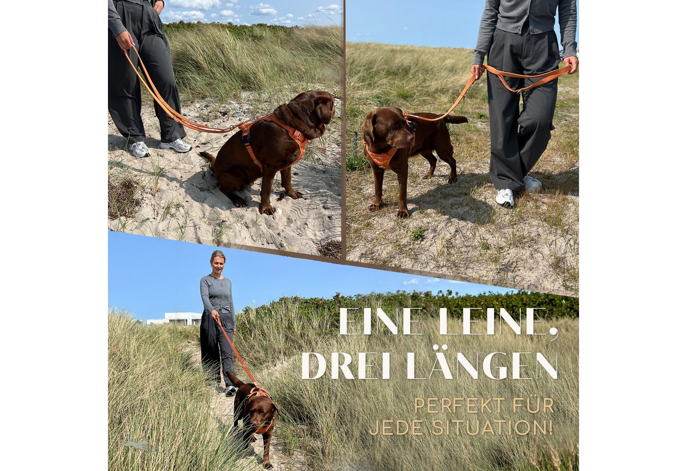 Freudentier Hundeleine 2m, verstellbar & gepolstert, Führleine aus Nylon, für mittelgroße & große Hunde – Bild 4 von 5