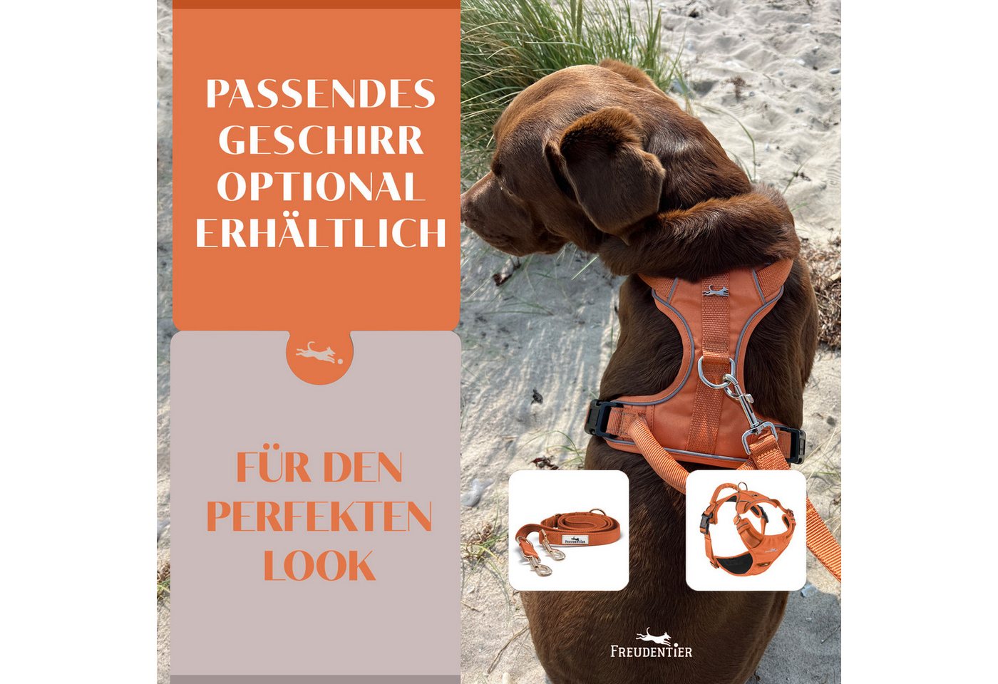 Freudentier Hundeleine 2m, verstellbar & gepolstert, Führleine aus Nylon, für mittelgroße & große Hunde – Bild 5 von 5