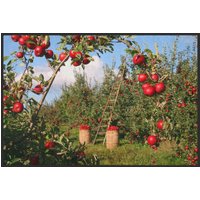 Fussmatte 10313