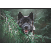 Fussmatte 10529