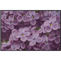 Fussmatte 10568