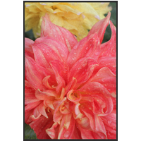 Fussmatte 10925