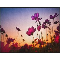 Fussmatte 4898