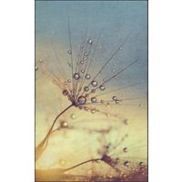 Fussmatte 7163