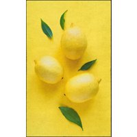 Fussmatte 7517