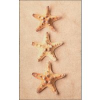 Fussmatte 7779