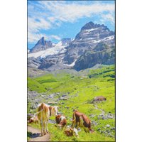 Fussmatte 7795