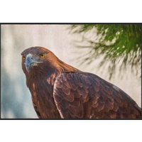Fussmatte Adler 6236