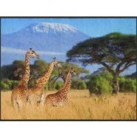 Fussmatte Afrika 4946