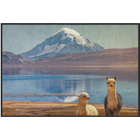 Fussmatte Alpaca 10331