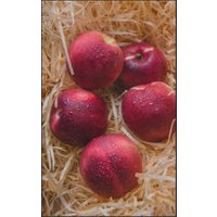 Fussmatte Apfel 7577