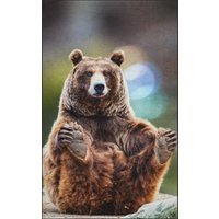 Fussmatte Bär 7519