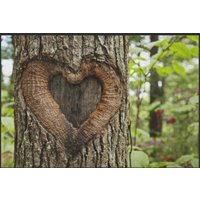 Fussmatte Baum 4204