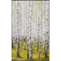 Fussmatte Birken Wald 7123