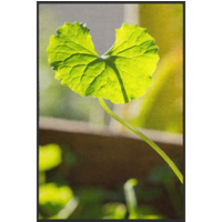 Fussmatte Blatt 10890