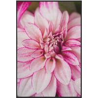 Fussmatte Blüte 10872