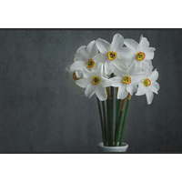 Fussmatte Blumenstrauß 10641
