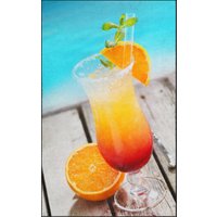 Fussmatte Cocktail 7121