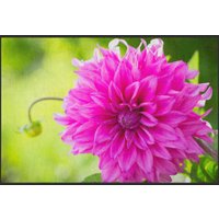 Fussmatte Dahlie 5079