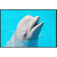 Fussmatte Delfin 10996