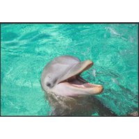 Fussmatte Delfin 6297