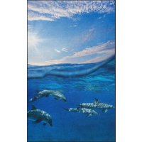 Fussmatte Delfin 7683